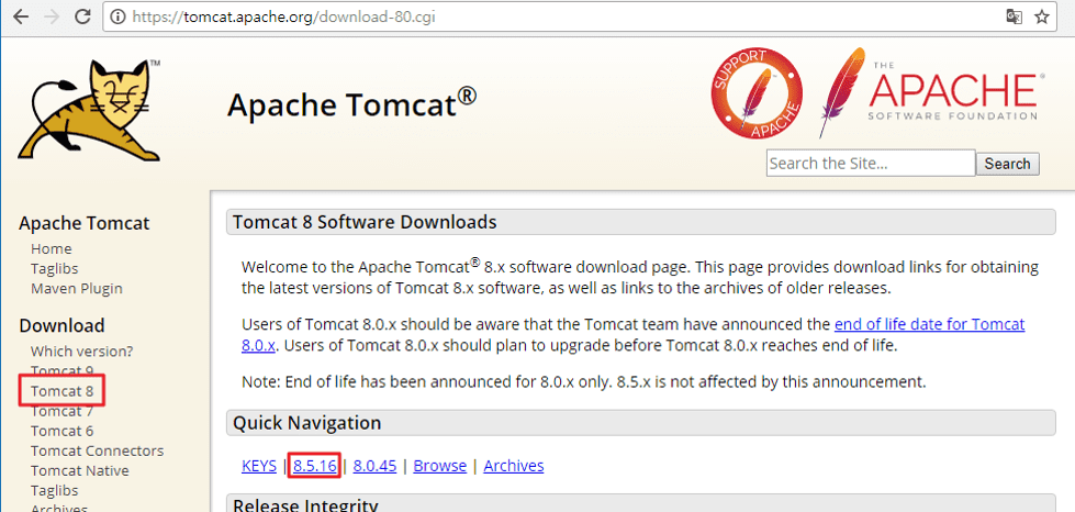 tomcat